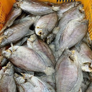 KHÔ CÁ SẶC SIZE 12 CON, kho chuyên sỉ giá tốt