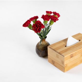 HỘP GIẤY ĂN HỘP KHĂN GIẤY ĂN CHỮ NHẬT BẰNG TRE TỰ NHIÊN SẠCH SẼ SANG TRỌNG BỀN BỈ - THƯƠNG HIỆU BESOL