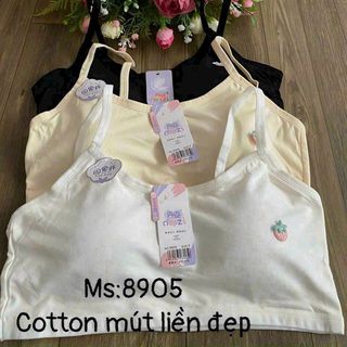 AL8905 - AO LA HS