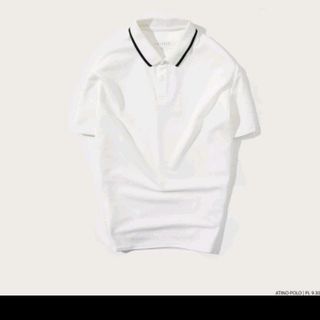 ÁO POLO NAM CHẤT CÁ SẤU COTTON XỊN VVY 65_ TRIỆU VY STORE