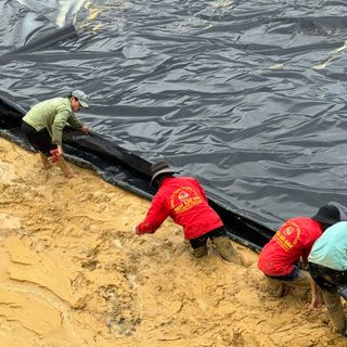 Máy hàn bạt HDPE ao nuôi tôm, máy hàn bạt nhựa tự động JIT800