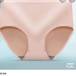 COM BO 5 QUẦN LÓT NỮ 100% COTTON MỀM MẠI YVY36_ TRIỆU VY STORE