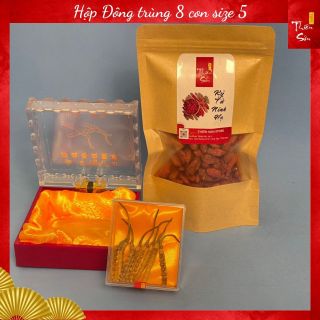 Combo Đông trùng Tây Tạng loại 8 con size 5 và 100g kỷ tử loại to