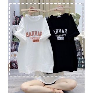 Áo Thun 3158 In Chữ HARVARD Form Rộng Unisex Chất Cotton Khô Loại 1, Thoáng Mát, Thấm Hút Mồ Hôi - GUNN giá sỉ