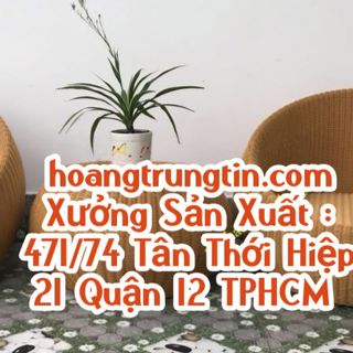 Ghế con sò ghế nhựa giả mây ghế mây tròn ghế trứng dây tròn nhựa giả mây cafe giá rẻ giá sỉ