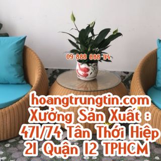 Ghế con sò ghế nhựa giả mây ghế mây tròn ghế trứng dây tròn nhựa giả mây cafe giá rẻ