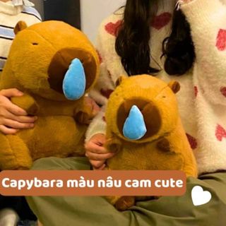 GẤU BÔNG CAPYBARA CHẢY NƯỚC MŨI DỄ THƯƠNG