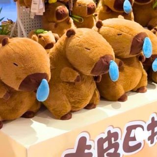 GẤU BÔNG CAPYBARA CHẢY NƯỚC MŨI DỄ THƯƠNG