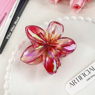 CÀNG CUA HOA SỨ TRONG 8CM