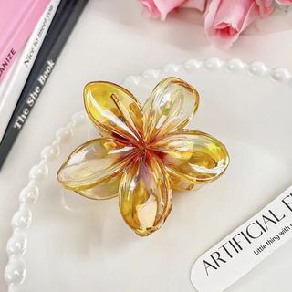 CÀNG CUA HOA SỨ TRONG 8CM