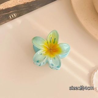 LỐ 12 KẸP CÀNG CUA HOA SỨ 4CM