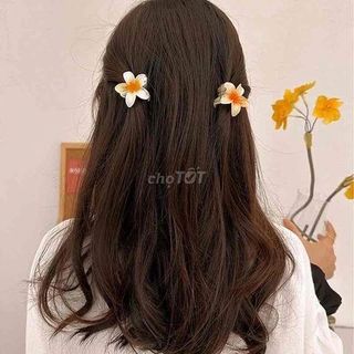 LỐ 12 KẸP CÀNG CUA HOA SỨ 4CM
