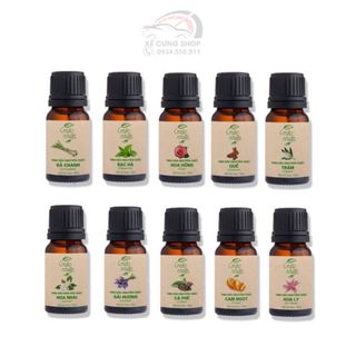Máy xông tinh dầu khử mùi ô tô gia đình dạng phun sương