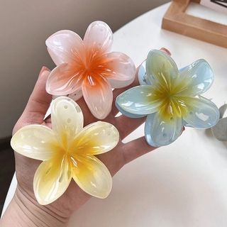 LỐ 12 KẸP CÀNG CUA HOA SỨ