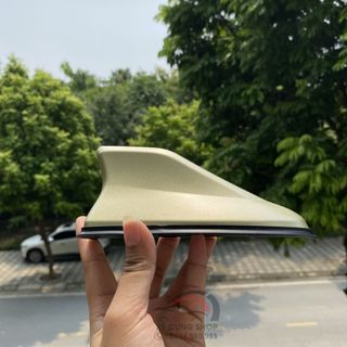 Vây Cá Mập Có Gioăng Cao Su Chống Nước