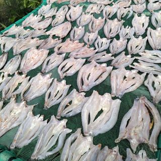 Khô cá lóc 3 nắng - Vựa khô Bến Tre