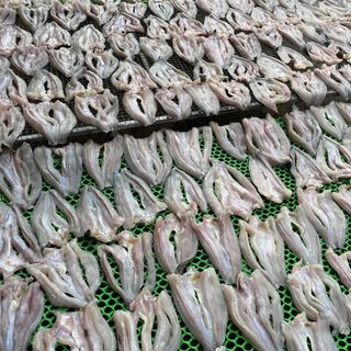 Khô cá lóc 3 nắng - Vựa khô Bến Tre