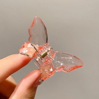 KẸP CÀNG CUA BƯỚM PHA LÊ