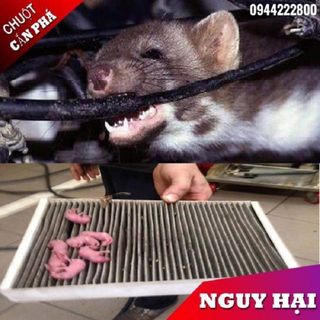 Lọ Tinh Dầu Treo Đuổi Chuột Hiệu Quả Dung Tích 10ml - Mộc Nhiên