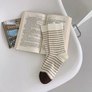 SET 5 ĐÔI SỌC NÂU CỔ CAO TÚI ZIP