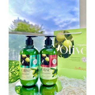 Dầu Gội + Dầu Xả Sroget OLIVE - Chính hãng giá sỉ