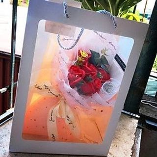 TÚI GIẤY ĐỰNG QUÀ SIZE 25*35*15CM