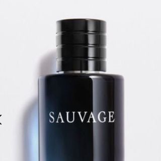 Nước hoa sauvage giá sỉ