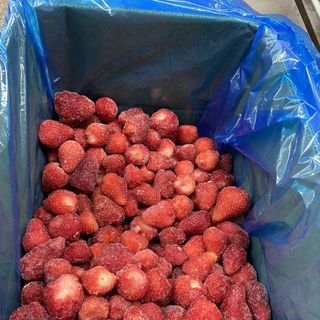 Nhà cung cấp và nhà sản xuất dâu tây tươi đông lạnh - Bán buôn dâu tây tươi đông lạnh tốt nhất
