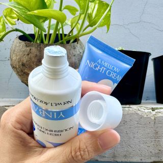 Kem ban đêm Yinba 40ml phục hồi, dưỡng ẩm, chống lão hoá