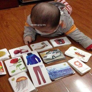 [FREESHIP 50K TOÀN QUỐC] Bộ thẻ học thông minh 16 chủ đề tiếng anh tiếng việt cho bé phát triển trí não