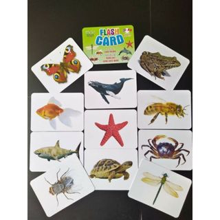 [Loại mới]Bộ Thẻ Học Thông Minh loại to Flashcard 18 chủ đề