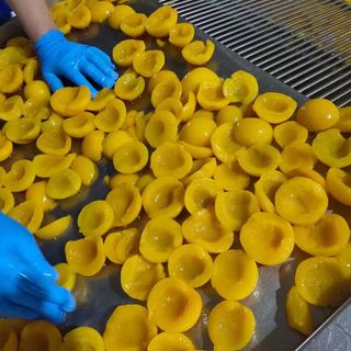 Đào tươi đông lạnh - nguyên liệu pha chế/ sản xuất