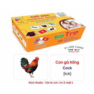 [Loại mới]Bộ Thẻ Học Thông Minh loại to Flashcard 18 chủ đề