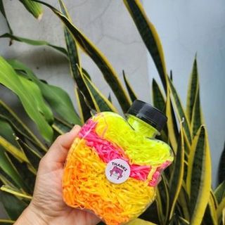 HỘP CHUN BUỘC TÓC TÁO GẤU DÂU- DÙNG 1 LẦN