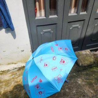 DÙ GẤP GỌN GẤU DÂU LOTSO