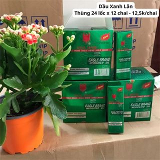 Dầu Xanh Lăn (Thùng 24 lốc x 12 chai) giá sỉ