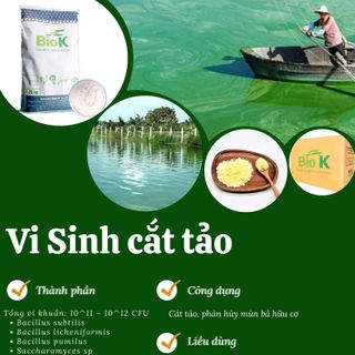 Men Vi Sinh Cắt Tảo dùng cho thủy sản giá sỉ