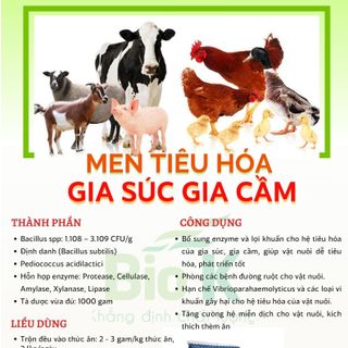 MEN TIÊU HÓA GIA SÚC GIA CẦM giá sỉ