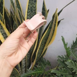 LỐ 12 KẸP CÀNG CUA 5 RĂNG MÀU CAFE