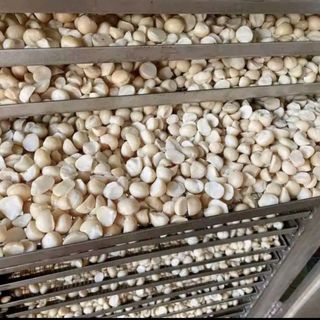 Nhân macca vỡ đôi đóng gói 500g