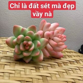 SET 12 MÀU ĐẤT SÉT TỰ KHÔ- SIZE LỚNSET 12 MÀU ĐẤT SÉT TỰ KHÔ- SIZE LỚN
