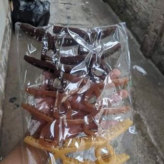 LỐ 12 CÀNG CUA CHÉO NHIỀU MẪU