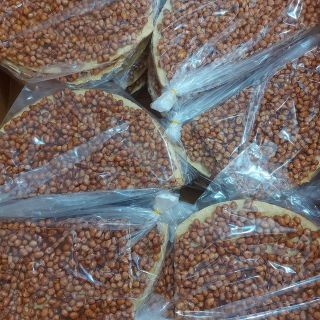 Kẹo đậu phộng nước cốt dừa đặc sản Bến Tre 1kg