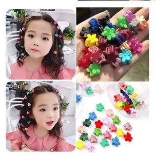 HỘP 50 KẸP CÀNG CUA MINI