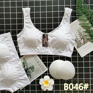 B046 -ÁO LÁ HỌC SINH (L19 -L12)