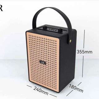 2024 Mới LZR-421 Không Dây Bluetooth 30W