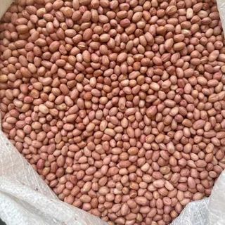 lạc ấn độ