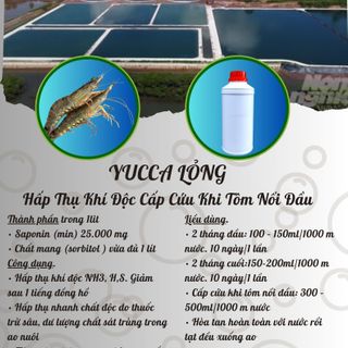 YUCCA LỎNG  Hấp Thụ Khí Độc Cấp Cứu Khi Tôm Nổi Đầu giá sỉ