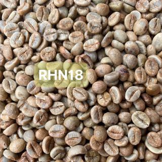 Cà phê nhân xanh Robusta honey s18 giá sỉ