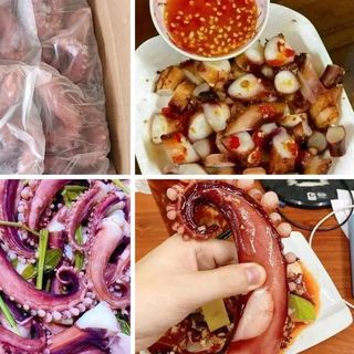 Râu Bạch Tuộc Nét 6